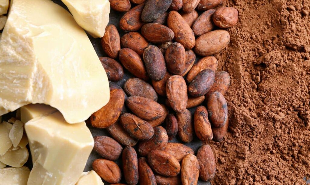 Origine et extraction du beurre de cacao