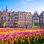 Tout savoir sur le pourboire aux Pays-Bas lors de votre voyage
