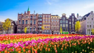 Tout savoir sur le pourboire aux Pays-Bas