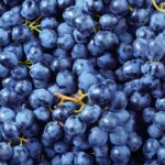 Tout savoir sur les bienfaits du Raisin