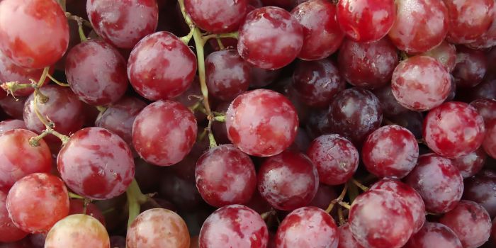 tous les bienfaits du raisin pour votre corps