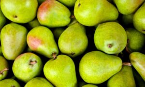 Tout savoir sur les bienfaits de la poire