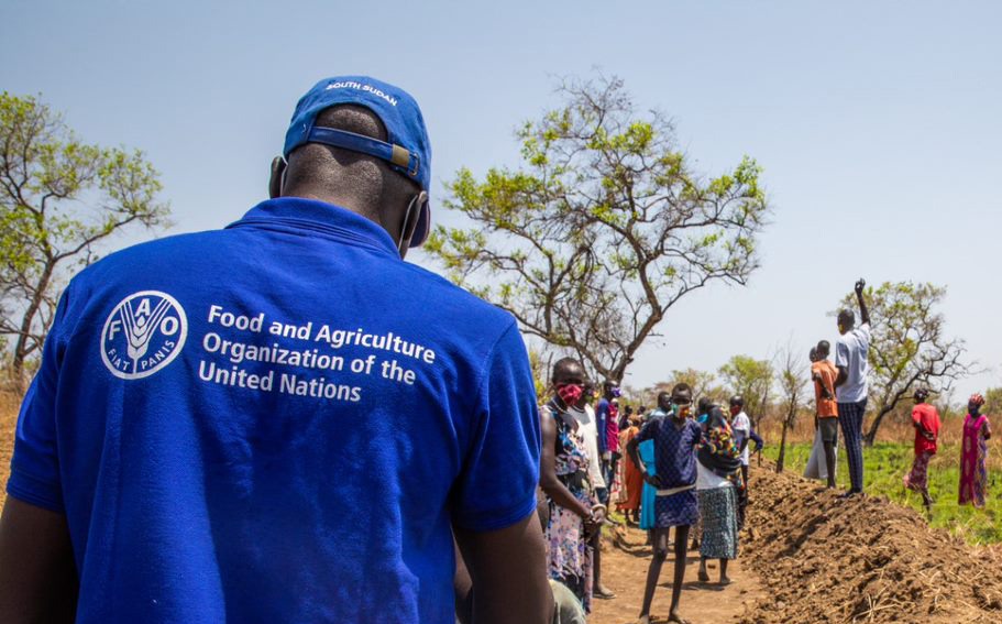 Le fonctionnement de la FAO