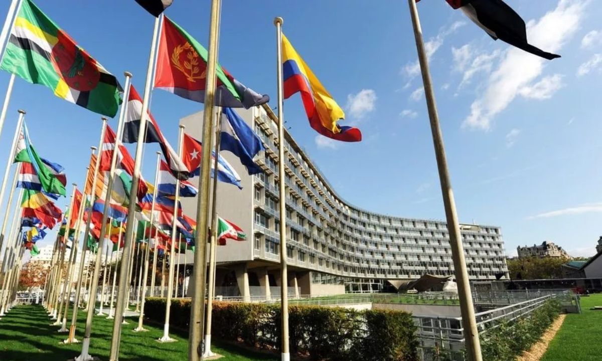 Tout savoir sur l'UNESCO