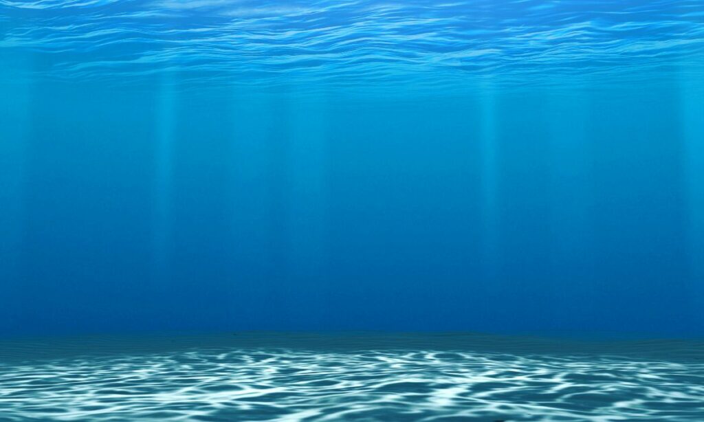 Pourquoi l’acidification des océans est-elle préoccupante 
