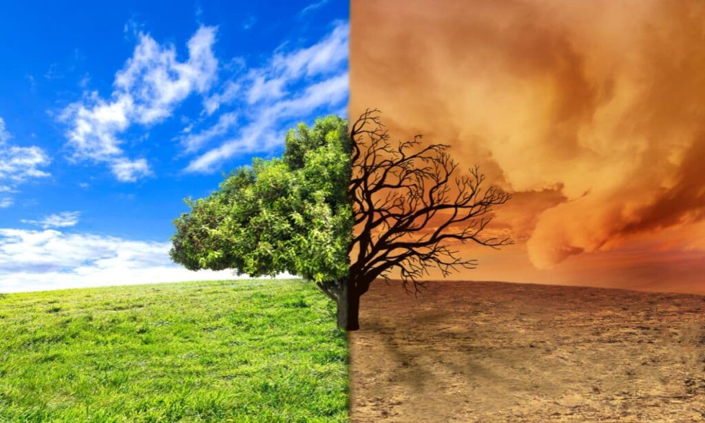 Tout savoir sur les limites planétaires