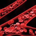 Pourquoi le sang est-il rouge ?