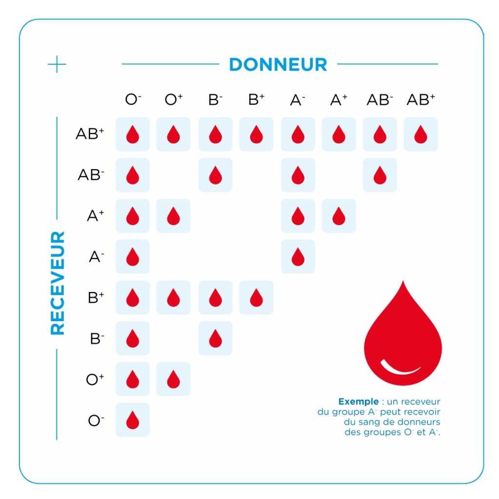 La compatibilité entre groupes sanguins